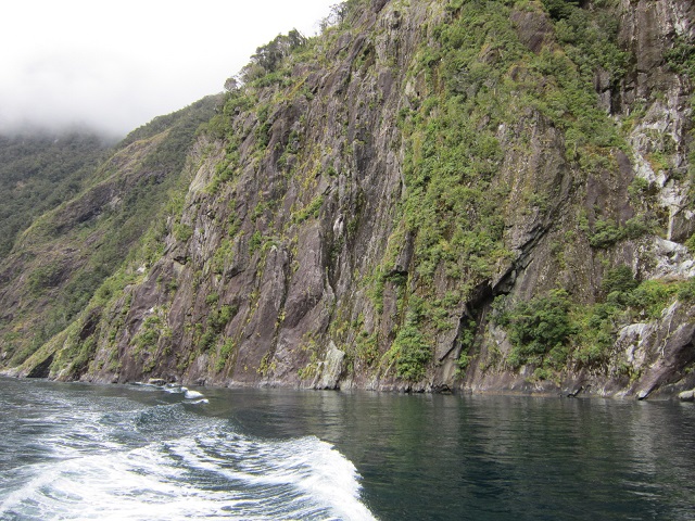 Nieuw Zeeland, Milford Sound, 